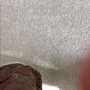 Meet your Posher, Neil